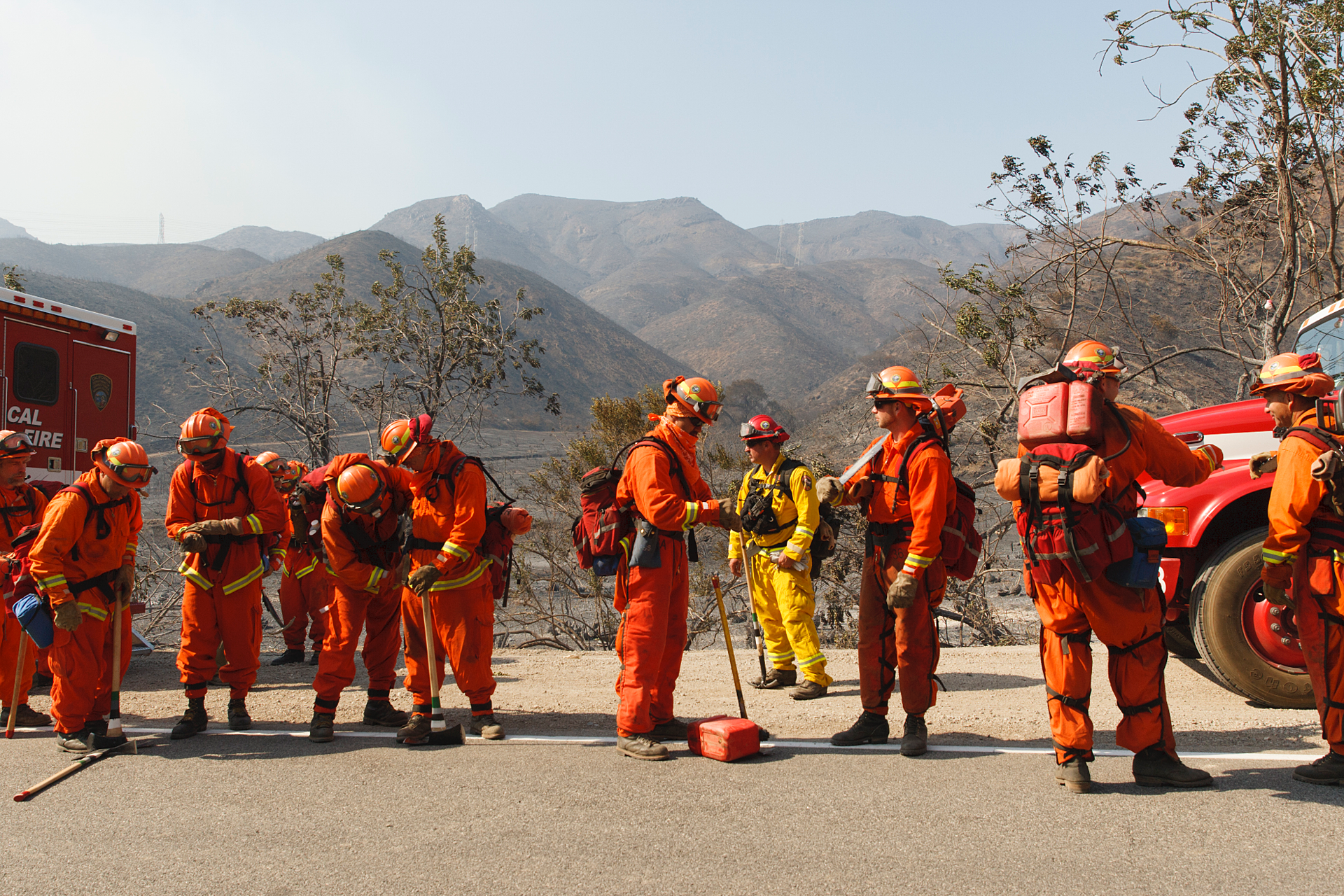 group of wildlands firefighters on road