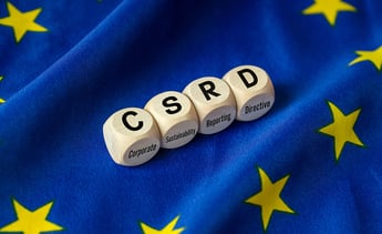 csrd blog overview