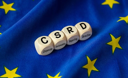 csrd blog overview