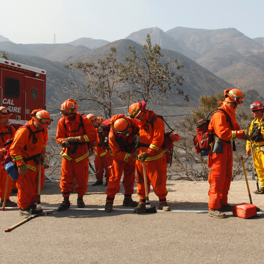 group of wildlands firefighters on road (Cropped)
