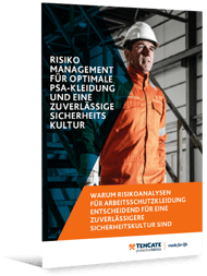 risk management e-book [DE] - big